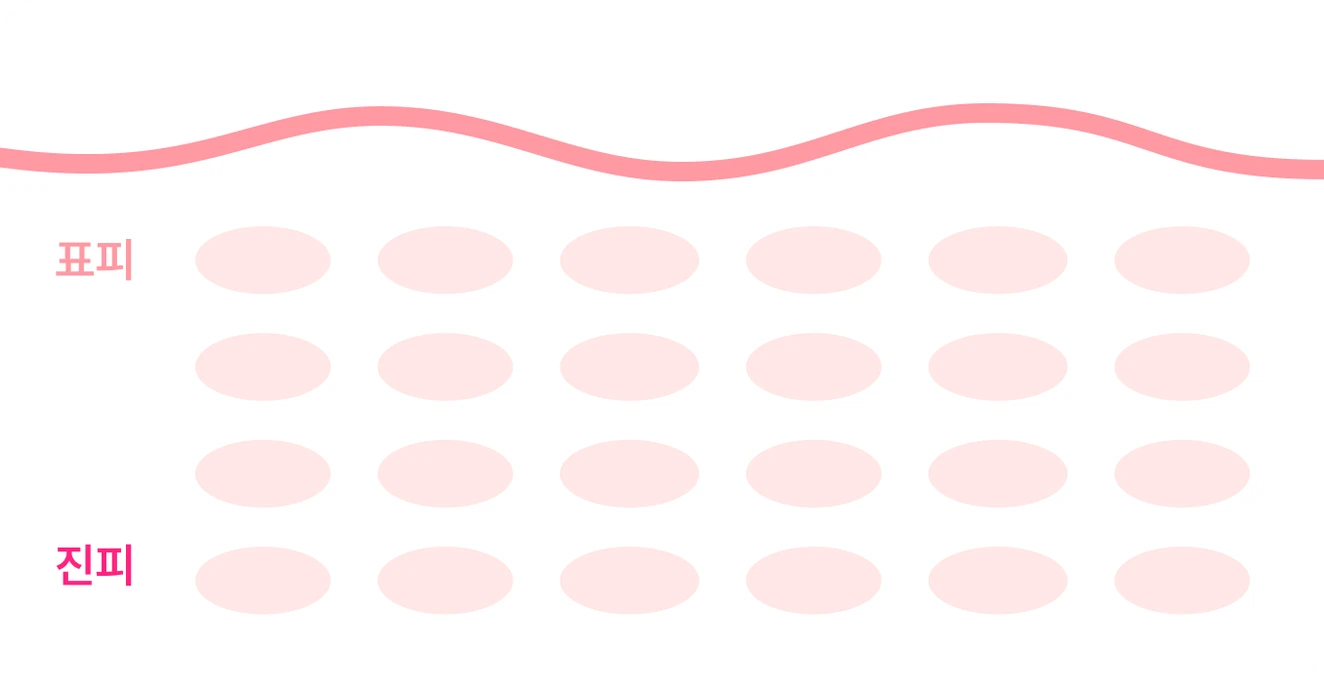 Concertina-0